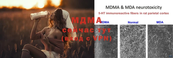 спиды Абаза