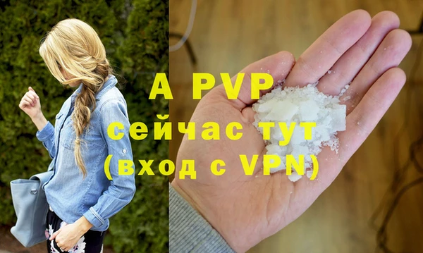 спиды Абаза
