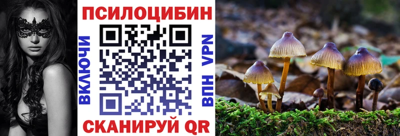 Галлюциногенные грибы ЛСД  продажа наркотиков  Сорск 